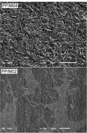 Figure 6. SEM micrographs of PP/M04 and PP/M02 after nonisothermal crystallization (protocol I)  under 300 MPa, and etching