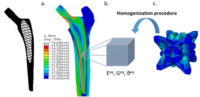 Fig. 1. Investigation scheme for the control of stiffness and anisotropy, a. a hip implant with an architecture core and associated stress ﬁeld [11], b