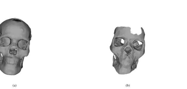 Fig. 3. Surface references for performance evaluation. (a) References 1 and 2, i.e., 3D surface segmented from the CT scan