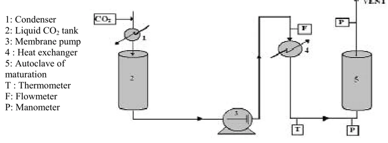 Figure 1 presents the configuration of the plant for maturation. CO 2 is initially stored in liquid  form at 50 bars and 0°C in  reservoir (2)