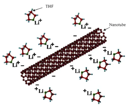 Figure 11.3.1  : Schématisation d'un nanotube monofeuillet dopé n,  entouré d'une couche de  cations U +  et de  molécules de  THF