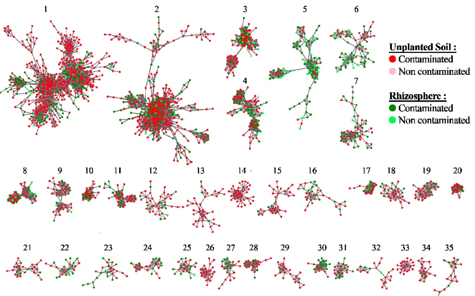 Figure 2.4. Sequence similarity networks of the largest 35 connected components of dominant plasmidic ORFs, with regards to  hydrocarbon contamination and presence of plant