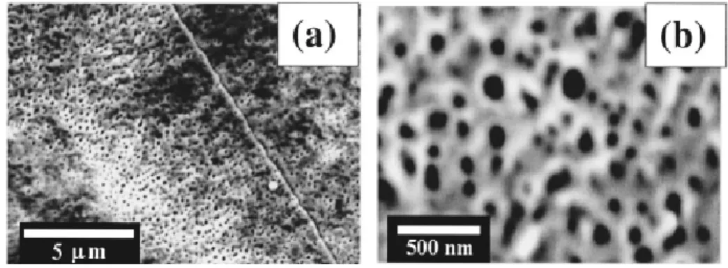 Figure 1.1   Images SEM de silicium poreux généré par la rupture optique dans l'air.  En (a) on voit la surface sous le point laser après 10 ruptures