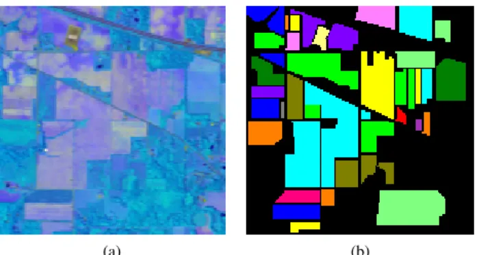Fig. 1. The RGB color composite version and the training set pixels of the Indian Pines dataset.