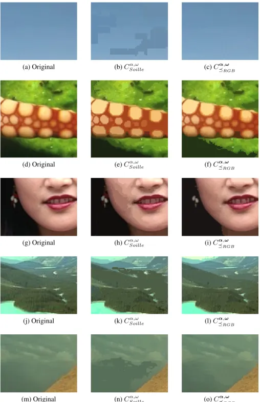Fig. 2: Details of image simplification.