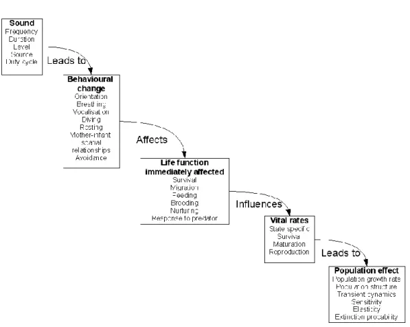 Figure  1.  Conceptual  model  of  the  population  consequences  of  acoustic  disturbance  on  marine mammals (National Research Council (NRC) 2005) 