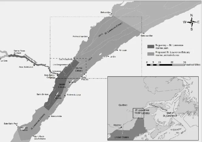 Figure 3. The marine portion of the proposed St. Lawrence Estuary Marine Protected Area  (dot-dashed  box)  which  constitutes  the  global  study  area  and  the  marine  portion  of  the  Saguenay-St