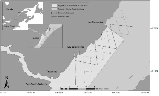 Figure 9. Transect lines designed for the systematic surveys conducted from 2006 to 2009