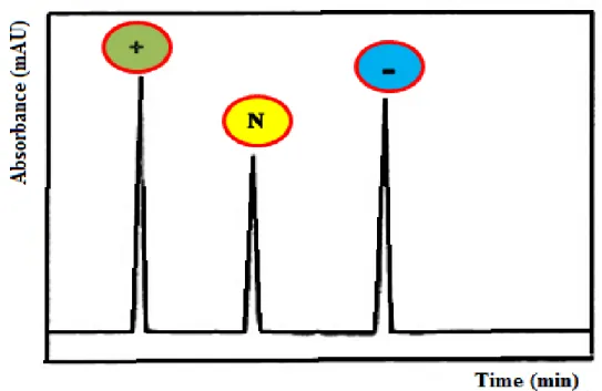 Figure 9. Schematic representation of an electropherogram showing the order of elution of  CE separation at pH &gt; 2.7 [64]