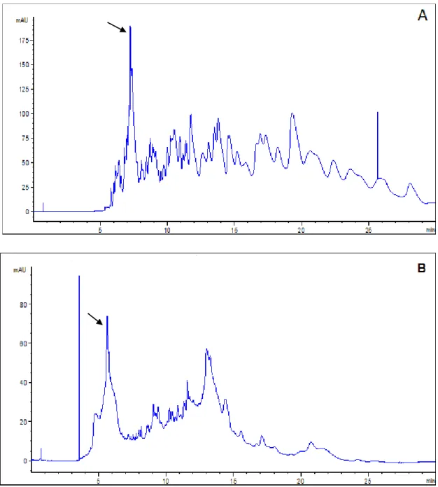 Figure 12. Electropherograms showing autoproteolysis of 0.12 mM soluble CT digested in  25  mM  of  ammonium  bicarbonate  (A)  and  in  25  mM  Tris-HCl  (B),  both  at  pH  8