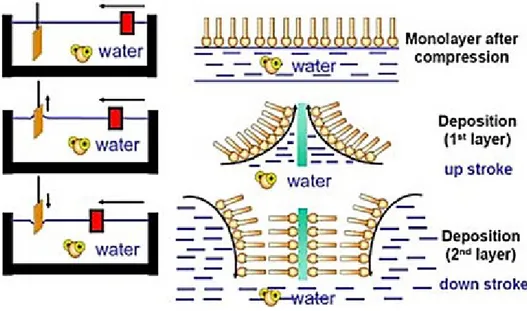 Figure 1-6. Langmuir-Blodgett deposition of monolayers from the water 