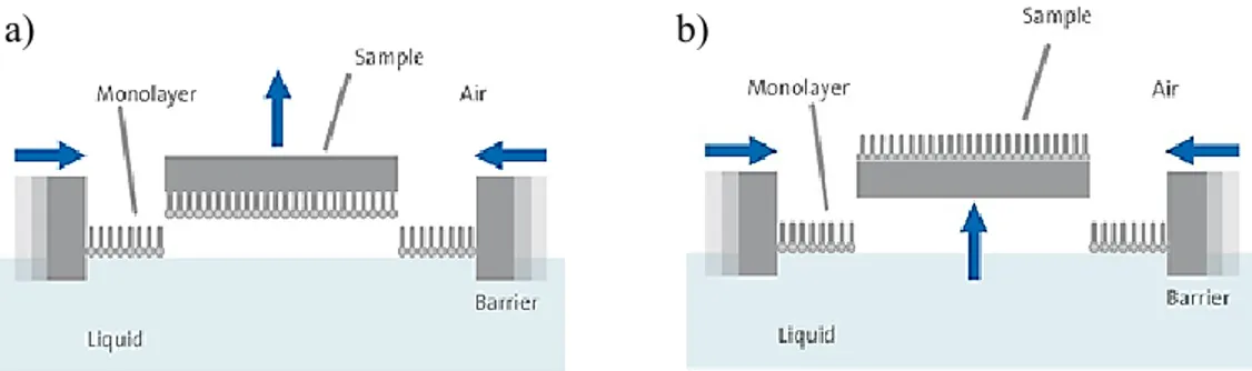 Figure 1-7. Two different types of Langmuir-Schaefer deposition. 