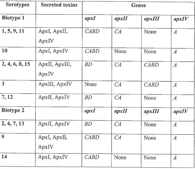 Table 1. Distribution of the APX toxins genes in the different serotypes of A.