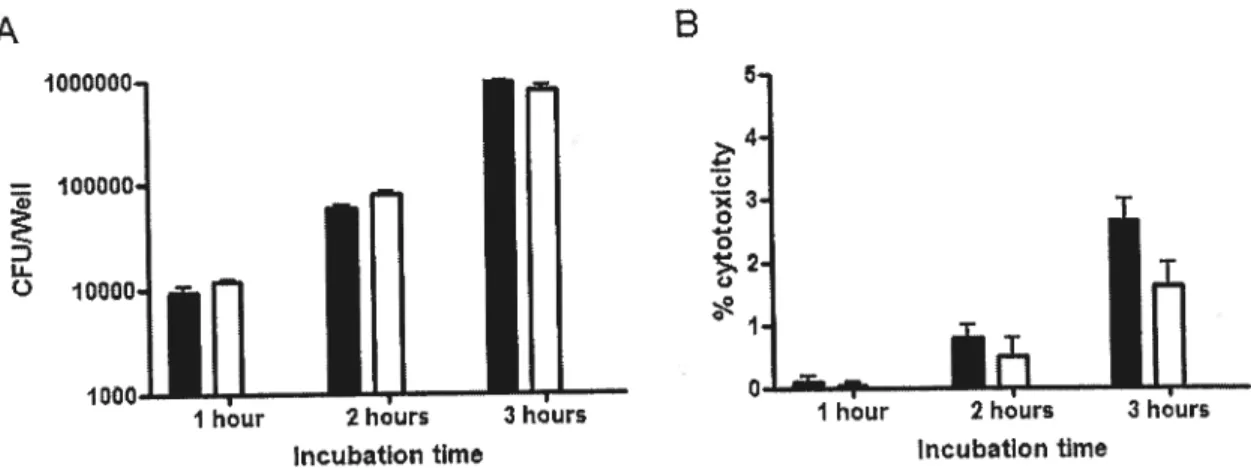 Figure 2. (A) Adherence of A. pleuropneurnoniae serotype 1 S4074 to $JPL (fihÏed bars) and NPTr (empty bars) from 1 to 3 hours and (B) % cytotoxicity of SJPL (fihled bars) and NPTr (empty bars) following infection with A
