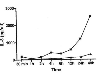 Figure 4. Production of IL-8 by NPTr celis following an induction with killed A. pleuropneurnoniae serotype 1 S4074 () and when not stimulated (À).