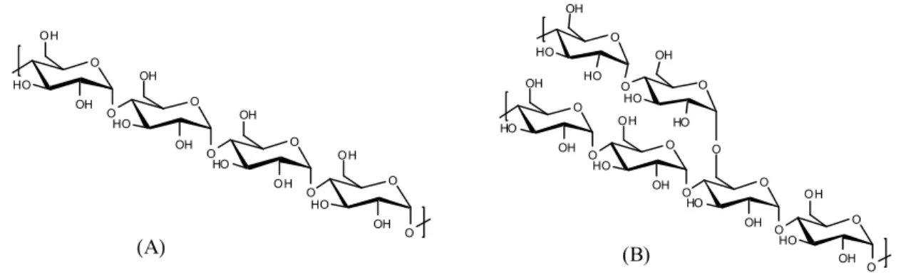 Figure 1.1. The chemical structures of (A) amylose and (B) amylopectin. 