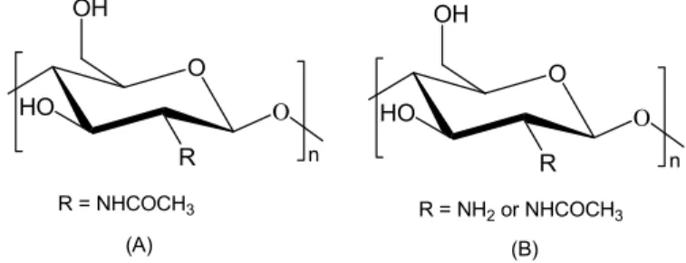 Figure 1.3. The chemical structures of (A) chitin and (B) chitosan. 