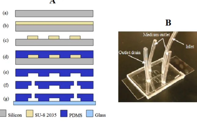 Figure 9. LOC fabrication. (A) (a) Schematic representation of a LOC: Silicon wafer standard clean, (b) SU-8 2035  Photoresist spin coating, (c) Lithographic patterning and photoresist development, (d) PDMS pouring and curing,  (e)  PDMS  pouring  and  cur