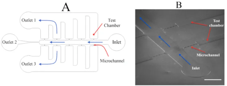 Figure 10. Presentation of LOC. (A) Schematic illustration of basic design for microchannels (LOC)