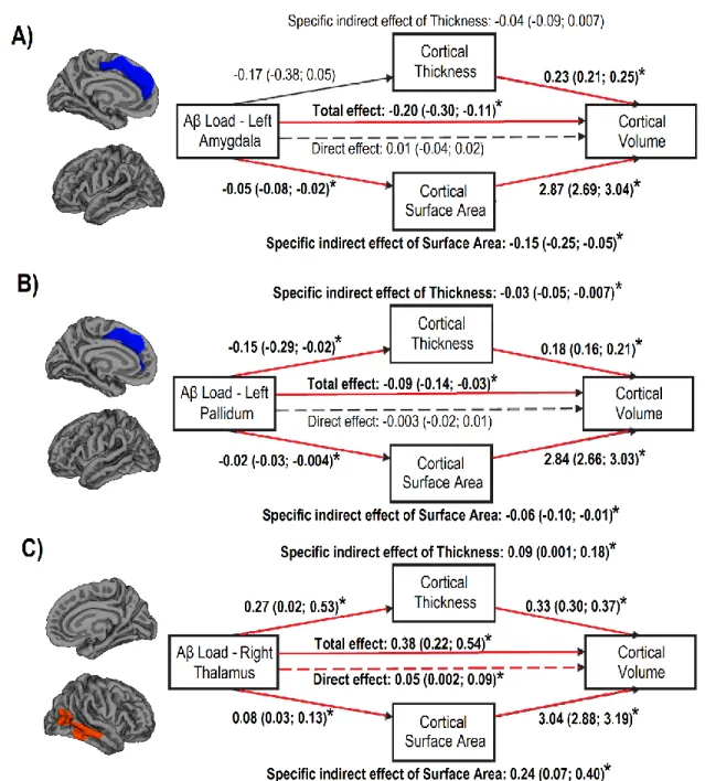 Figure  2.  Mediation  analyses  of  the  relationships  between  subcortical  Aβ  load  and  cortical volume