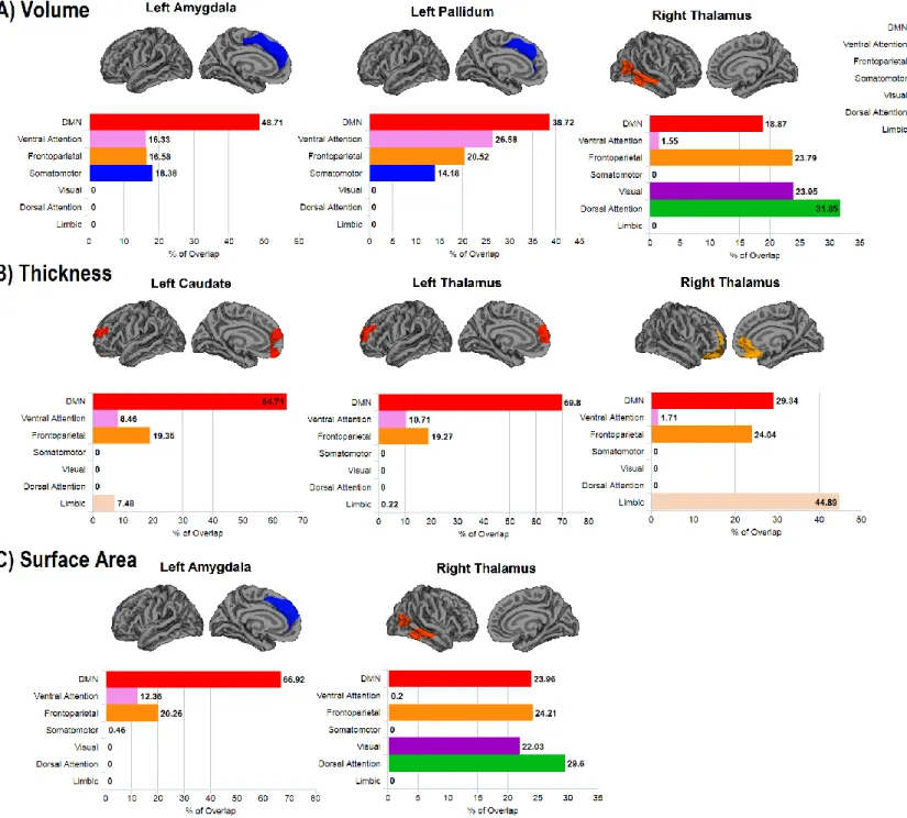 Figure 3. Overlap between the clusters of cortical morphology associated with  subcortical Aβ load and resting-state functional networks