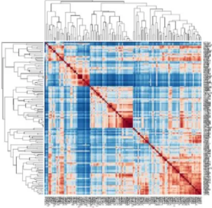 Fig. 2. Generated Heatmap with 222 colorectal cancer.