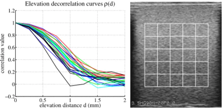 Fig. 1. (left) Experimental decorrelation curves of the 25 patches consid- consid-ered in the (right) ultrasound image