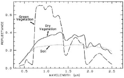 Figure 2: Typical spectral signature for soil, green vegetation and dry vegetation.