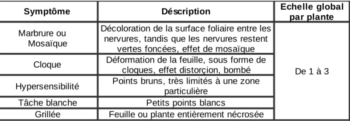 Tableau 1 : notations utilisées pour l'essai du Rheu en 2009. 