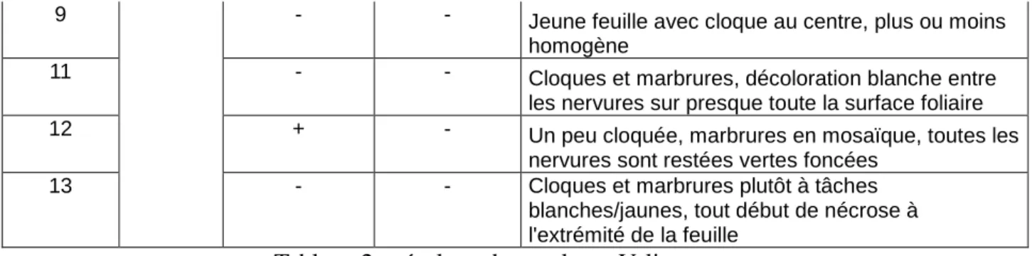 Tableau 2 : résultats des analyses Valinov. 