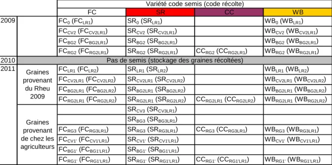 Figure 12 : généalogie des graines semées au Rheu en 2009 et 2011 (LR). 