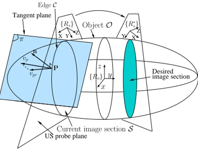 Fig. 1. Interaction between the ultrasound probe and the object
