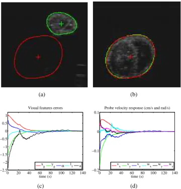Fig. 8. Results from in-vitro experiment: (a) Initial (green) and desired (red) image sections edges before applying visual servoing - (b) Current (green) and desired (red) after applying visual servoing (c) Visual error response (cm, cm, rad, cm and cm 2 