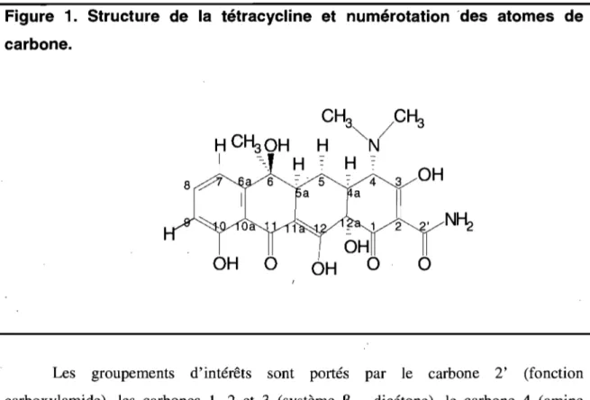 Figure  1.  Structure  de  la  tétracycline  et  numérotation  'des  atomes  de  carbone