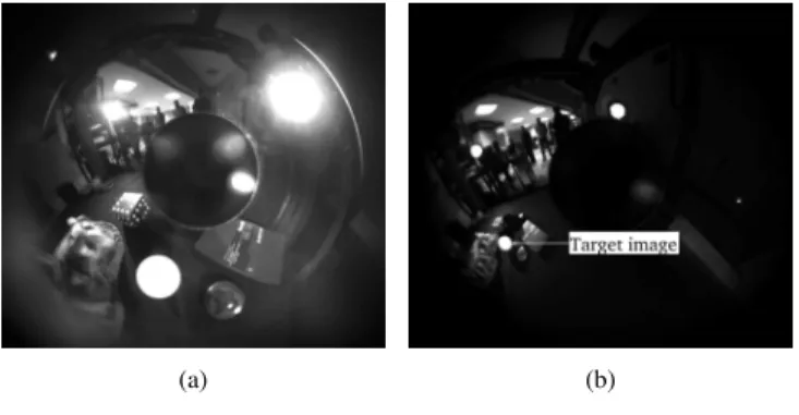 Fig. 4. (a) Desired image. (b) Initial image.
