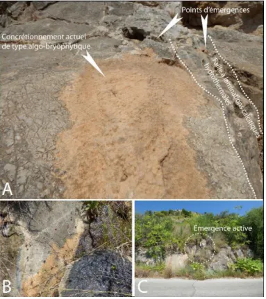 Fig. 3 – Émergences actuelles le long des failles hydrothermales et développement de concrétionnements algo-bryophytiques sur le site de Solonte.