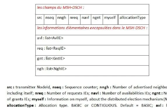 Figure 10 : Le format du MSH-DSCH selon le standard IEEE 802.16. 