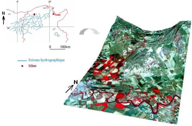 Figure 1 : Localisation du site Jebel Hallouf-Bouaouane dans le bassin versant de la Mejerda (a) et sur l’image ASTER VNIR  (600*1000 pixels) drapé sur le MNT en 3D (b)
