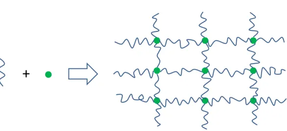 Figure 1.1 Schematic of an elastomeric network built from starting components.