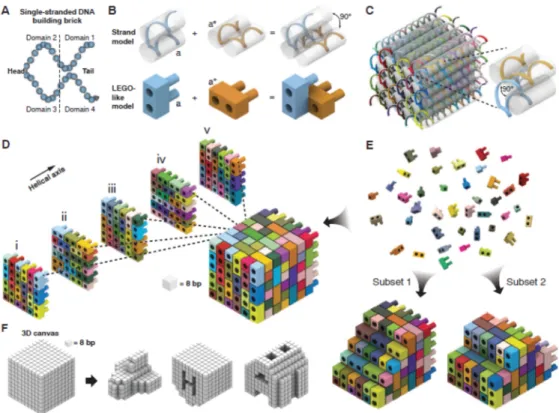 Figure  1.14  Design  of  the  DNA  brick  structure  by  self-assembly  of  LEGO-like  bricks