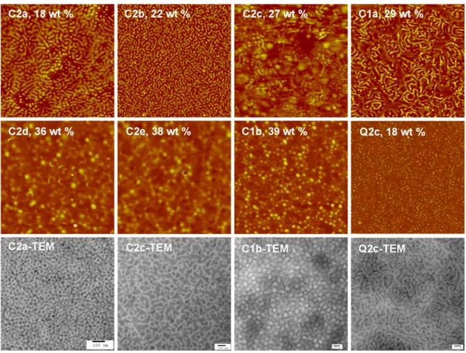 Figure 2.4 AFM phase images (2×2 m) of the Cxy films (in order of hard block content) and  the  Q2c  film,  and  representative  TEM  images  of  selected  films  (scale  bar  100  nm),  all   spin-coated from DMF solutions
