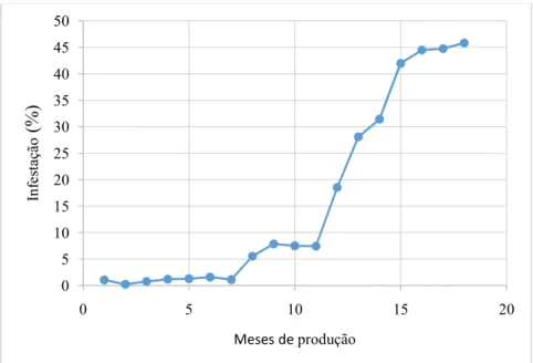 FIGURA  1.  Evolução  da  infestação  Diaspididae),  nos  primeiros