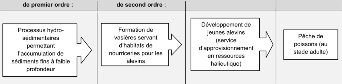 Figure 1. Services écosystémiques impliqués dans l’interaction entre les vasières et les poissons