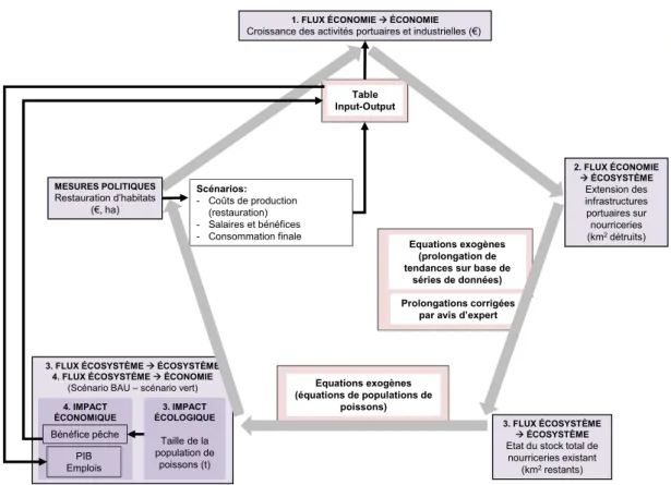 Figure 5. Quantification des interrelations entre les différents flux d’interface. 