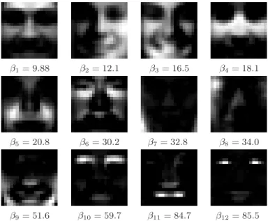 Figure 7: Regularization Path for MIT CBCL Dataset.