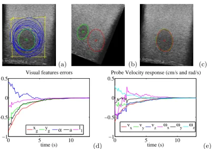 Fig. 2. (a) Convergence of the active contour on the desired image (yellow: initial curve, blue: motion of the curves to reach the desired contour, green: convergence of the curve) - Results from the US simulator: (b) initial (green) and desired (red) imag