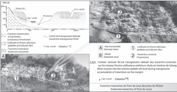 Fig. 5 : La formation travertineuse holocène de Pont de Joux (Bouches du Rhône), transgression des faciès construit sur les marges du talweg.