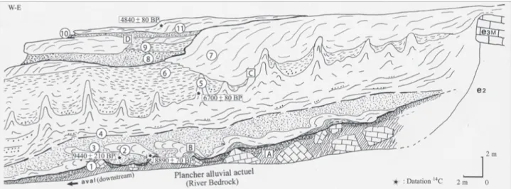 Fig. 7 : Coupe d’ensemble des travertins holocènes de la cascade de St Antonin (Bouches du Rhône) d’après Guendon et al., 2003.