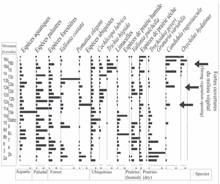 Fig. 9 : Diagramme malacologique de coupe du Verger-sud (formation travertineuse postglaciaire du Mirail, Luberon, Vaucluse), d’après les analyses de Martin, 2004.