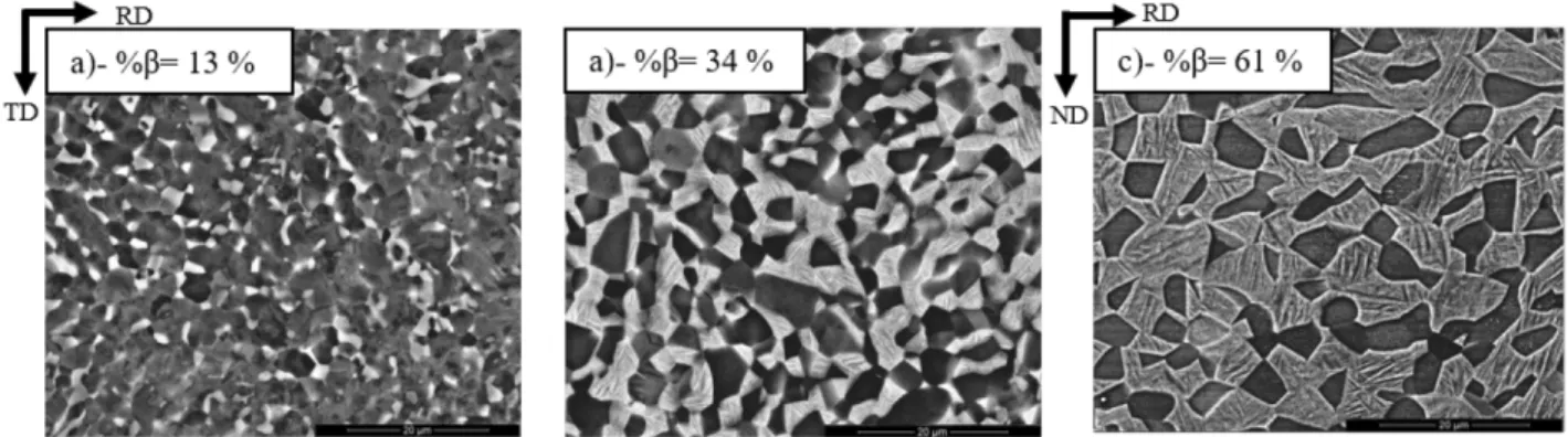 Fig.  5: True stress-true strain curve corresponding to tensile tests  at 920°C with a strain rate of   10 -4  s -1  on initial grain size about 3 µm (a)